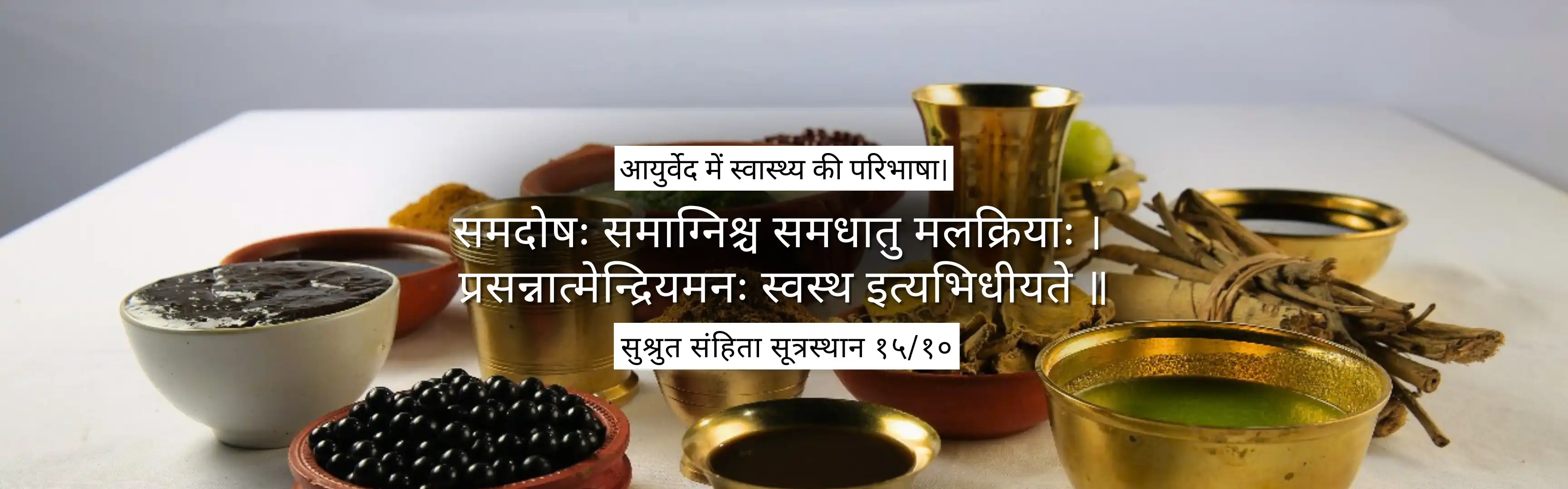 Ayurveda health definition shlok banner by BMSD Healthcare