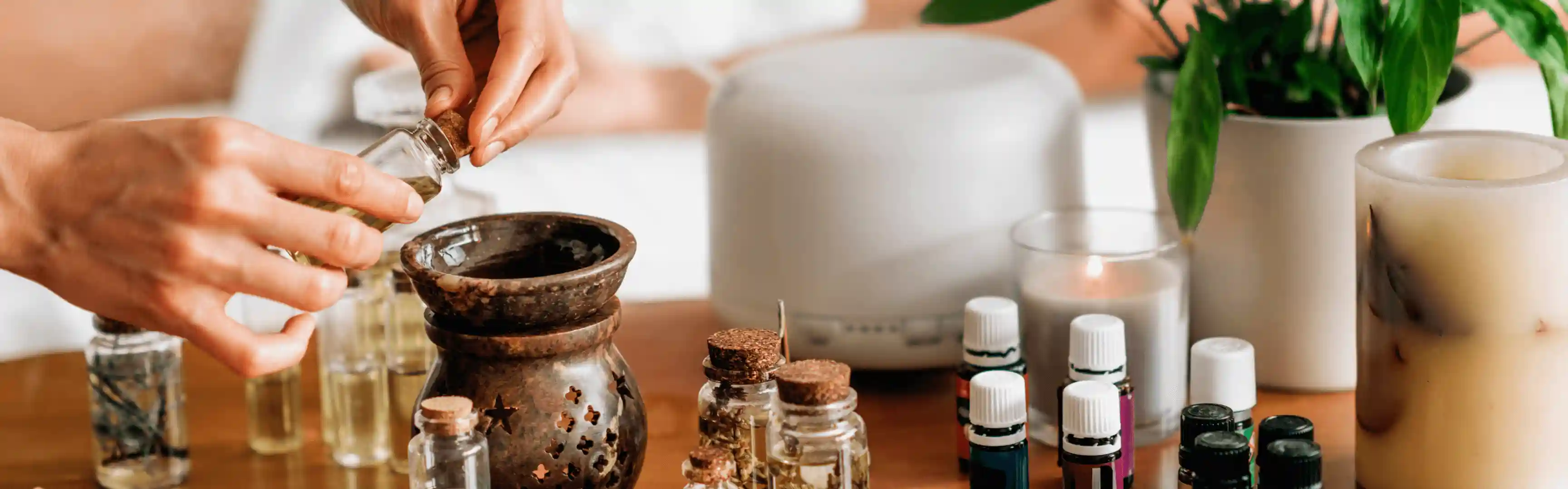 Ayurvedic herbs and medicines used at BMSD Healthcare in Delhi