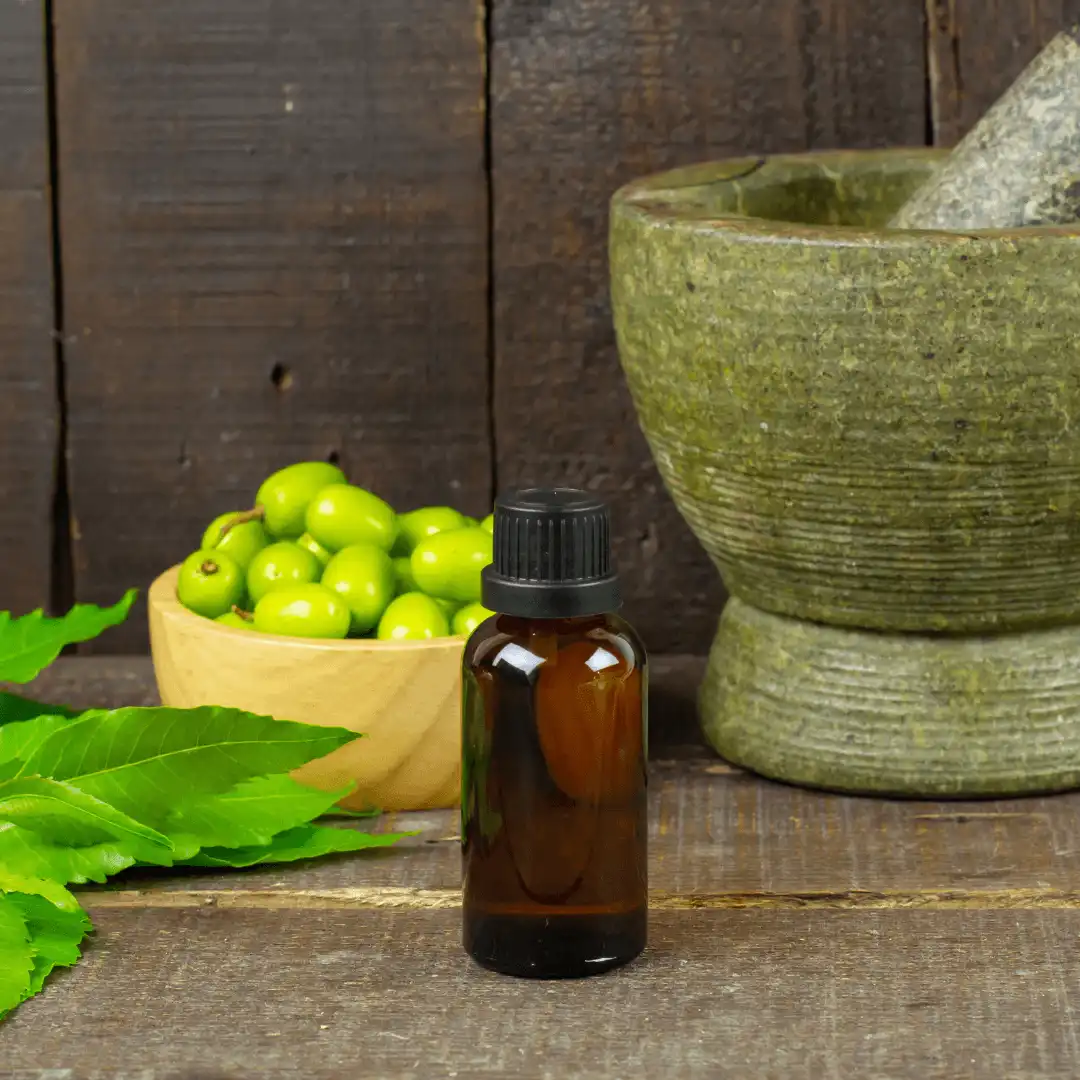 Holistic Ayurvedic healing at BMSD Healthcare in Delhi